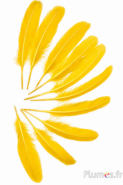 Gans - 15-21 cm - topaz geel